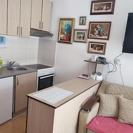 Smestaj Galerija شقة